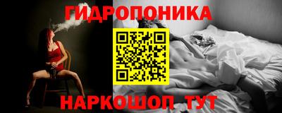 твердый Будённовск