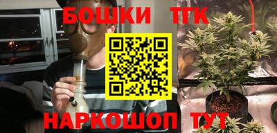 твердый Будённовск